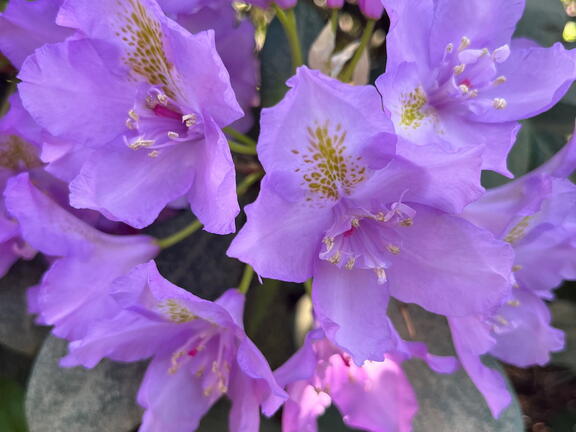 23-06-03 17-09-48 5817